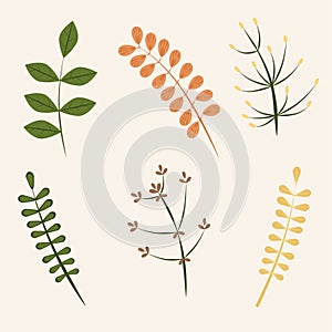 Set of organic nature design elements: twigs and leaves